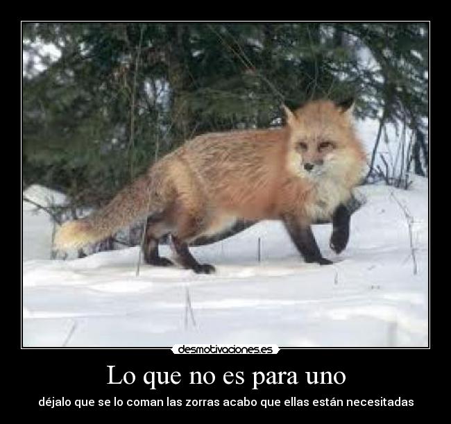 Lo que no es para uno -