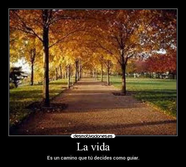 La vida - 