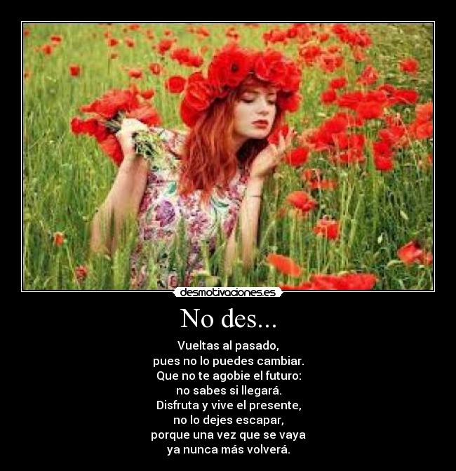 No des... - Vueltas al pasado,
pues no lo puedes cambiar.
Que no te agobie el futuro:
no sabes si llegará.
Disfruta y vive el presente,
no lo dejes escapar,
porque una vez que se vaya
ya nunca más volverá.