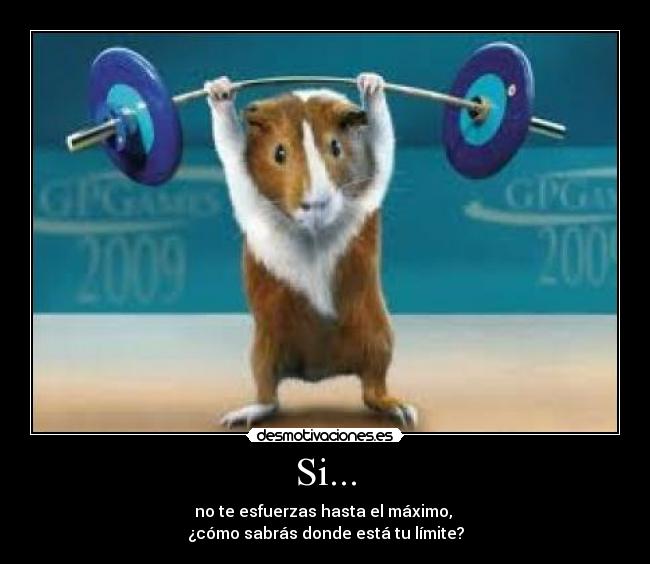 Si... - no te esfuerzas hasta el máximo,
¿cómo sabrás donde está tu límite?