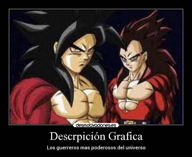 Descrpición Grafica - 
