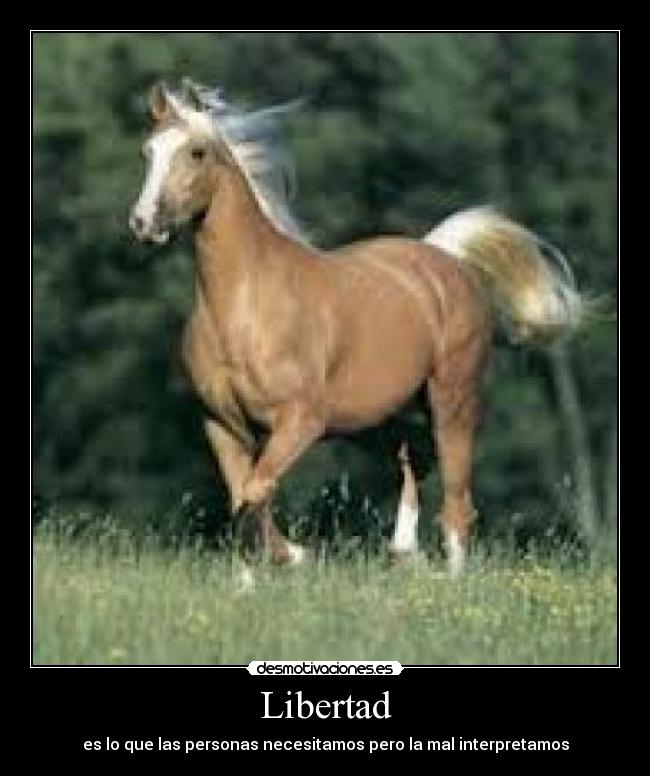 carteles libertad daylin28 desmotivaciones