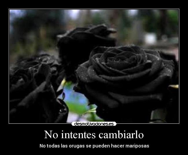 No intentes cambiarlo - No todas las orugas se pueden hacer mariposas