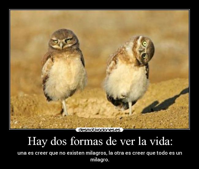 Hay dos formas de ver la vida: - una es creer que no existen milagros, la otra es creer que todo es un milagro.