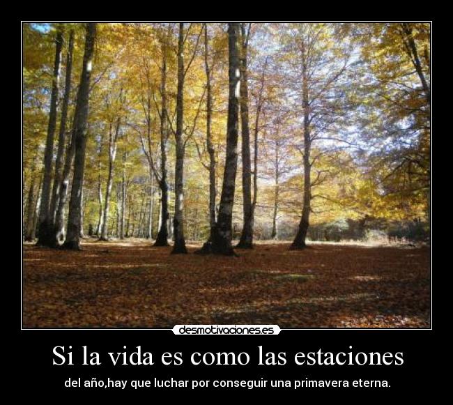 Si la vida es como las estaciones - del año,hay que luchar por conseguir una primavera eterna.