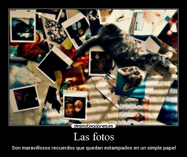 Las fotos - Son maravillosos recuerdos que quedan estampados en un simple papel