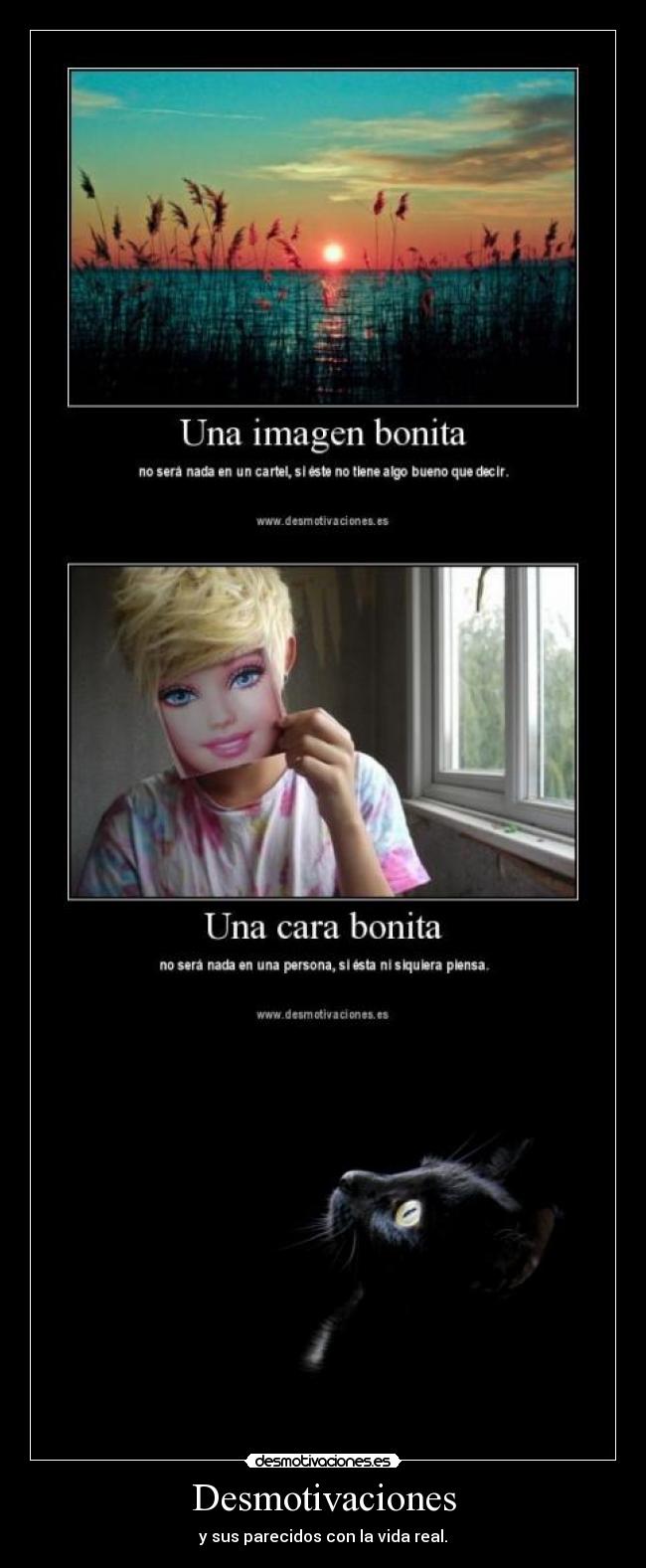 Desmotivaciones - 