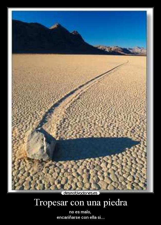 carteles maguis desmotivaciones