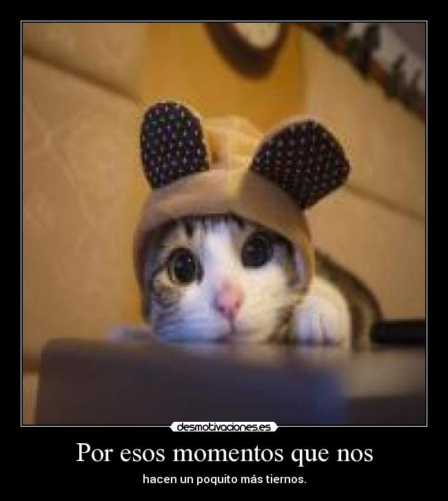 Por esos momentos que nos - 