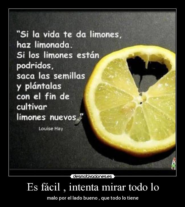 carteles ss1996 desmotivaciones