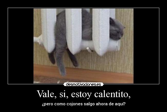 Vale, si, estoy calentito, -