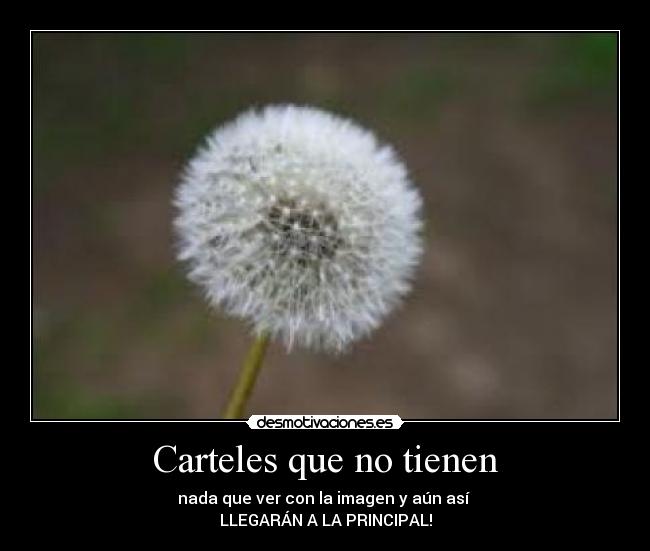 Carteles que no tienen - 