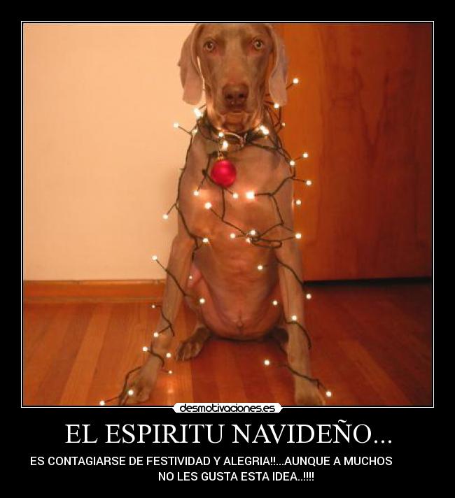 EL ESPIRITU NAVIDEÑO... - ES CONTAGIARSE DE FESTIVIDAD Y ALEGRIA!!...AUNQUE A MUCHOS
NO LES GUSTA ESTA IDEA..!!!!