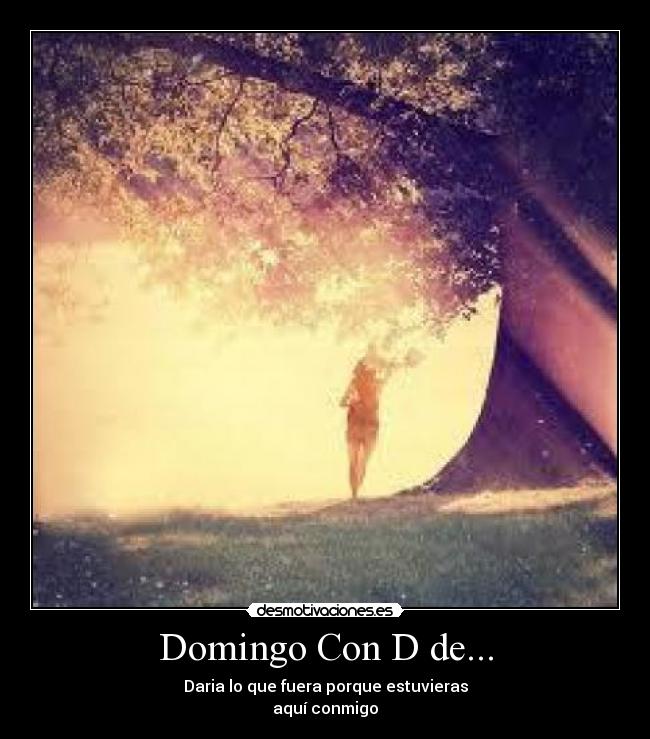 carteles amor desmotivaciones