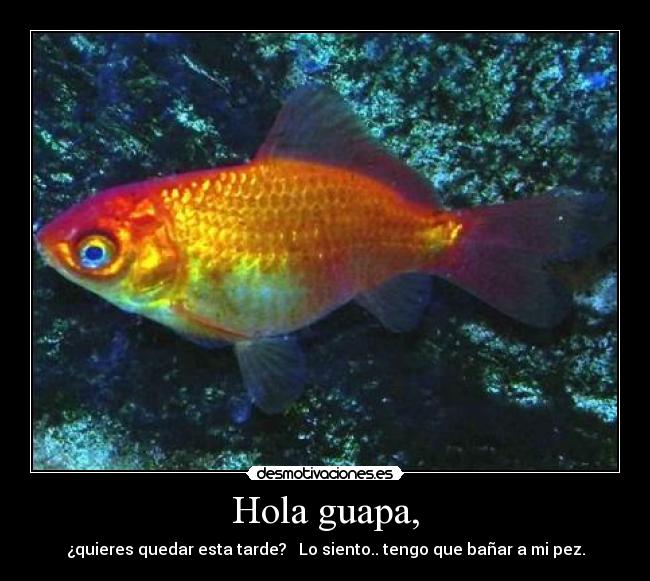 Hola guapa, -
