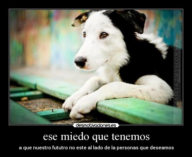 ese miedo que tenemos -