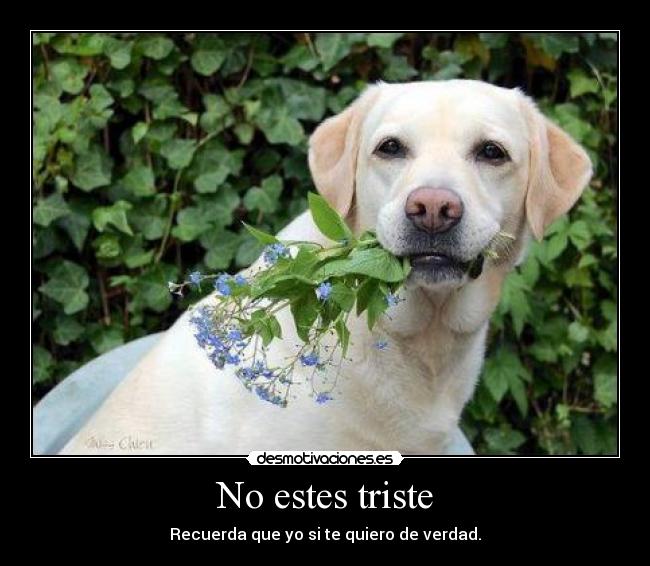 No estes triste - 