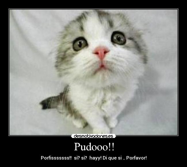 Pudooo!! - 