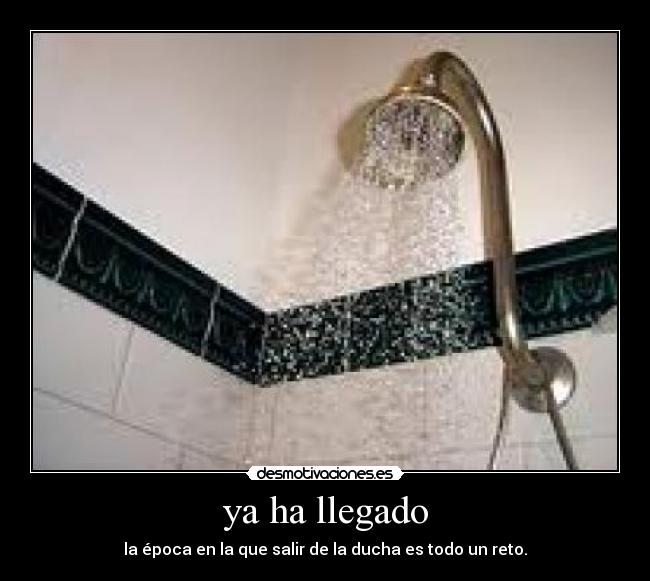 carteles boboblooper desmotivaciones