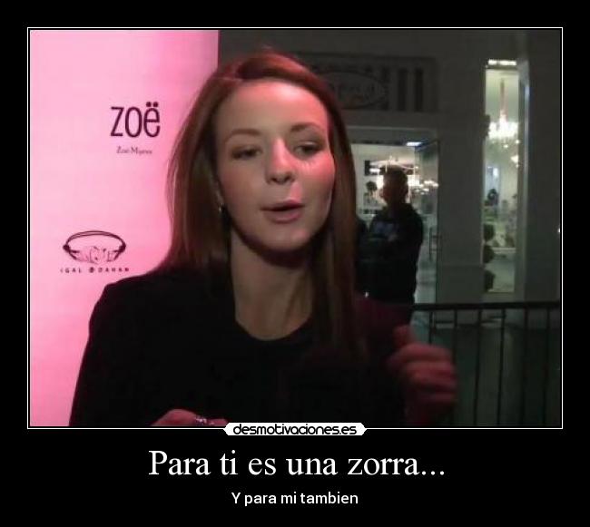 carteles zorrantha desmotivaciones