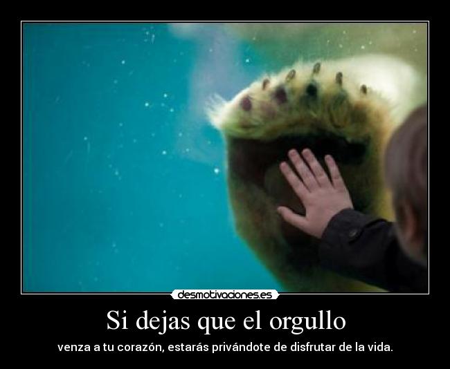 Si dejas que el orgullo - 