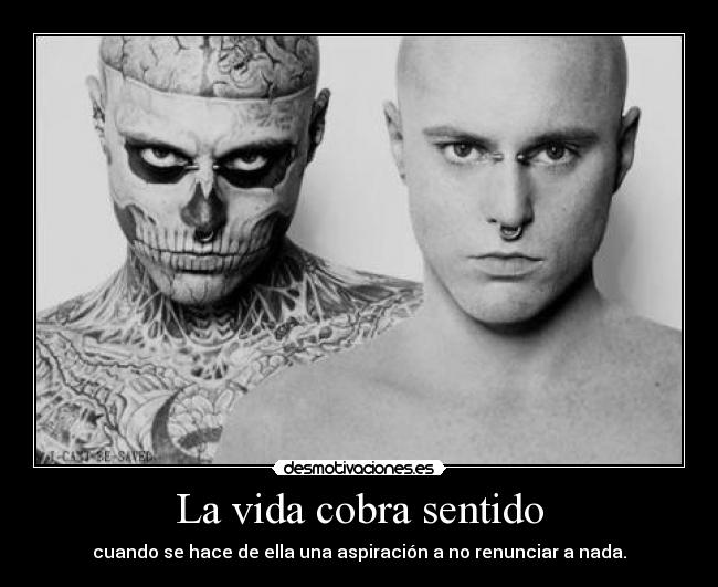 La vida cobra sentido -