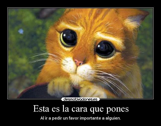 Esta es la cara que pones - Al ir a pedir un favor importante a alguien.