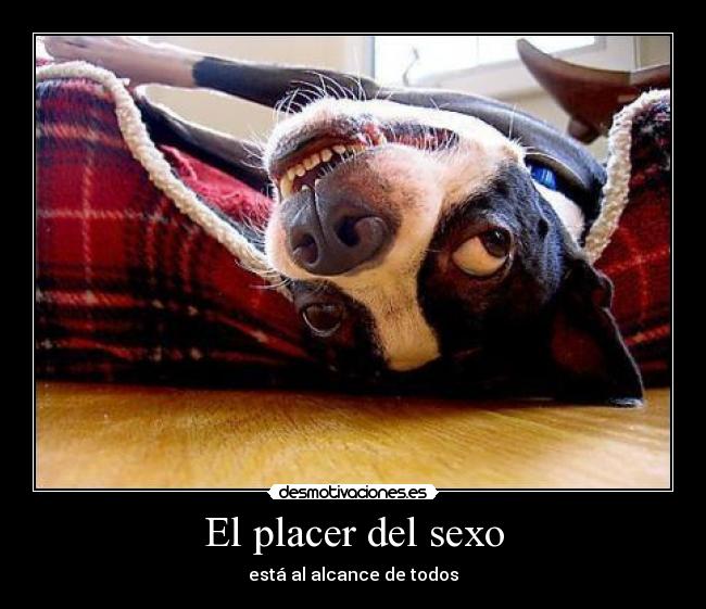 El placer del sexo -