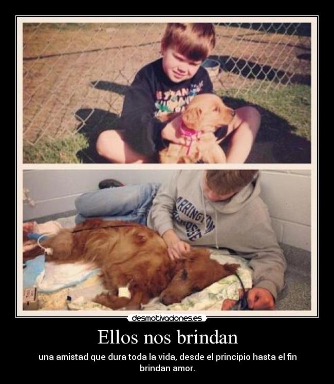 carteles literalmente nos entregan vida desmotivaciones