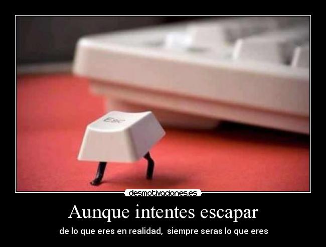 Aunque intentes escapar - 