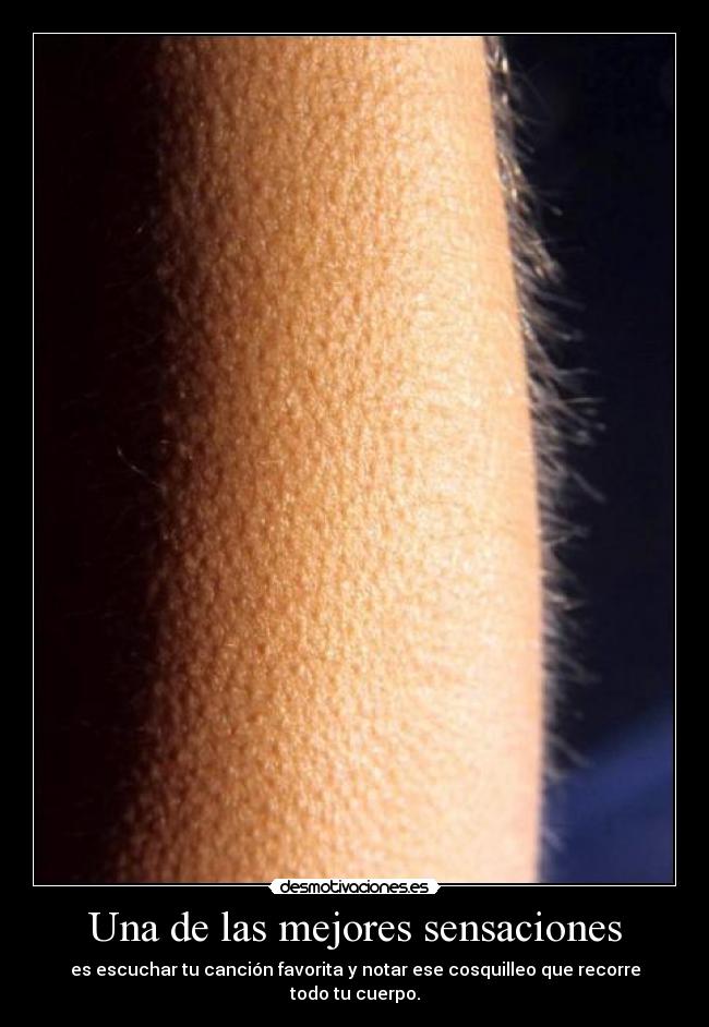 Una de las mejores sensaciones - es escuchar tu canción favorita y notar ese cosquilleo que recorre todo tu cuerpo.