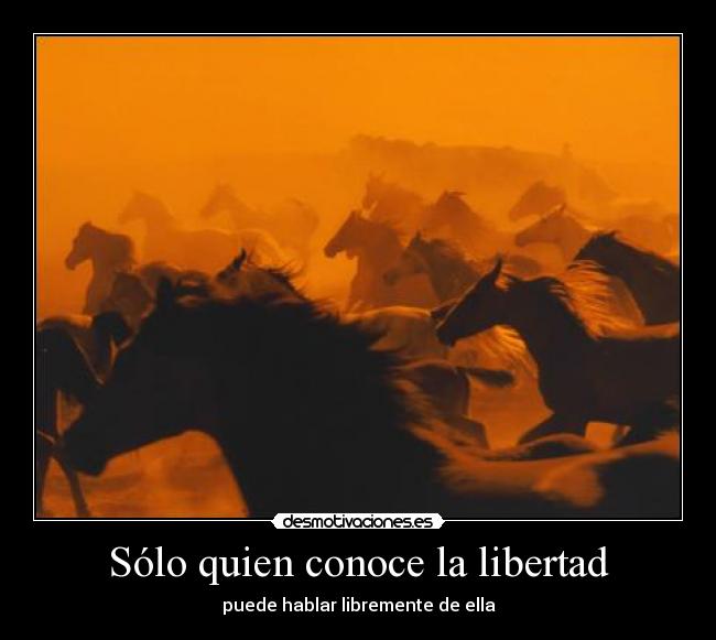 Sólo quien conoce la libertad - 