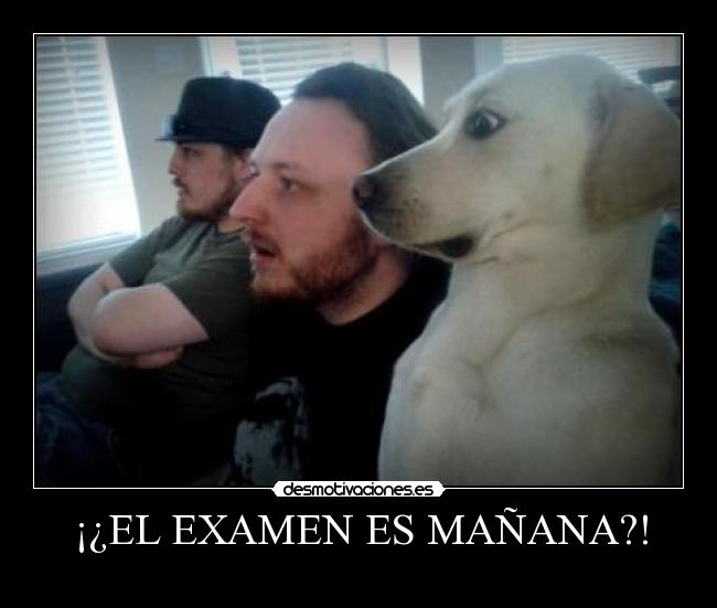 ¡¿EL EXAMEN ES MAÑANA?! -