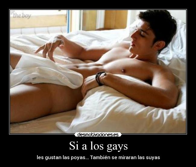 Si a los gays - les gustan las poyas... También se miraran las suyas