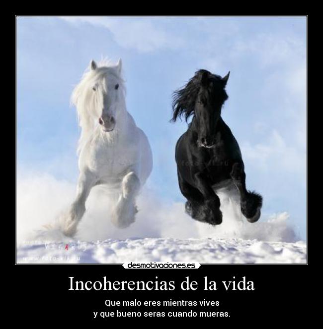 Incoherencias de la vida - 