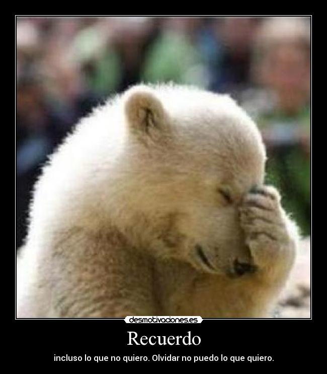 Recuerdo - incluso lo que no quiero. Olvidar no puedo lo que quiero.