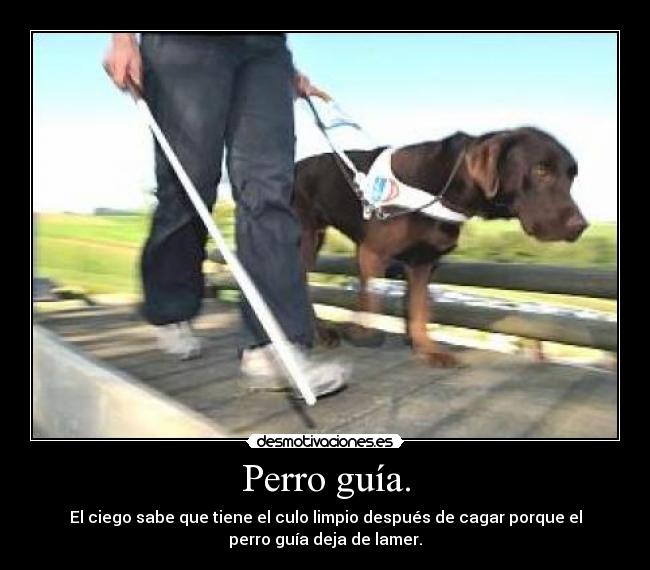Perro guía. - El ciego sabe que tiene el culo limpio después de cagar porque el
perro guía deja de lamer.