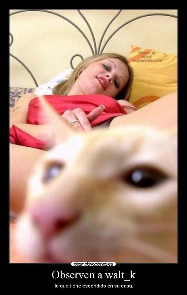 Observen a walt_k - lo que tiene escondido en su casa.
