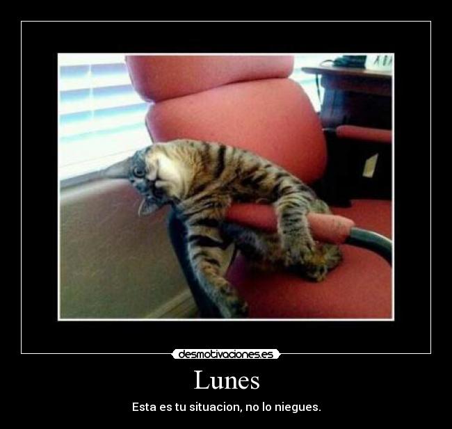 Lunes - Esta es tu situacion, no lo niegues.