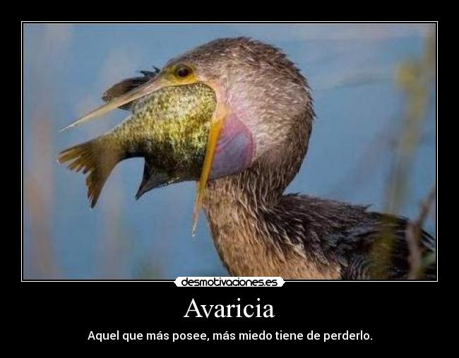 Avaricia - 