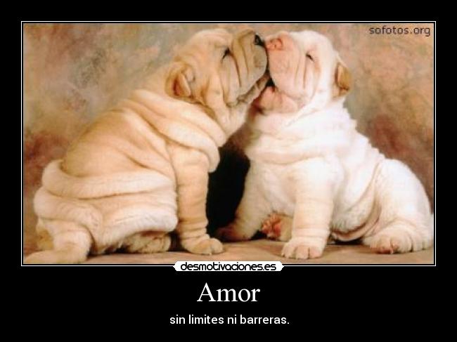 Amor - sin limites ni barreras.