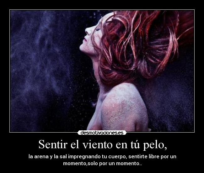 carteles freedom desmotivaciones