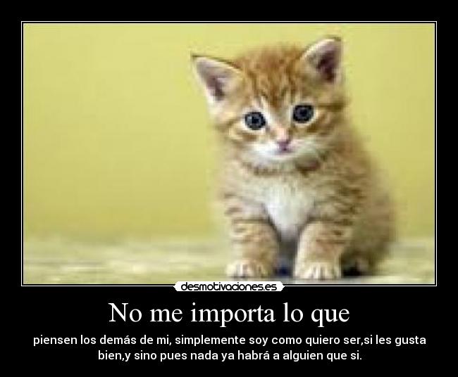 No me importa lo que -