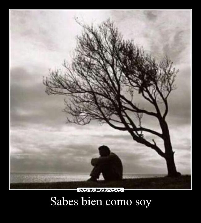 carteles dada road megacartel desmotivaciones