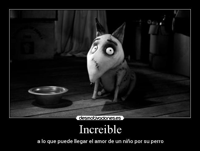 Increible -