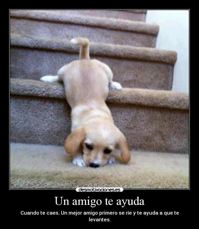 Un amigo te ayuda - Cuando te caes. Un mejor amigo primero se ríe y te ayuda a que te levantes.