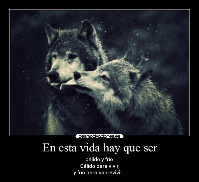 carteles vida asdasdasdasd mira one piece owo desmotivaciones