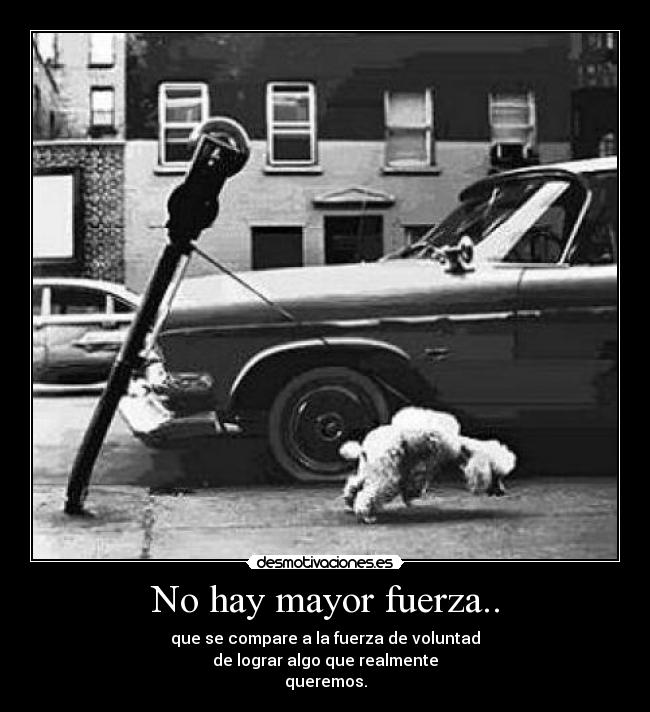 carteles fuerza voluntad desmotivaciones