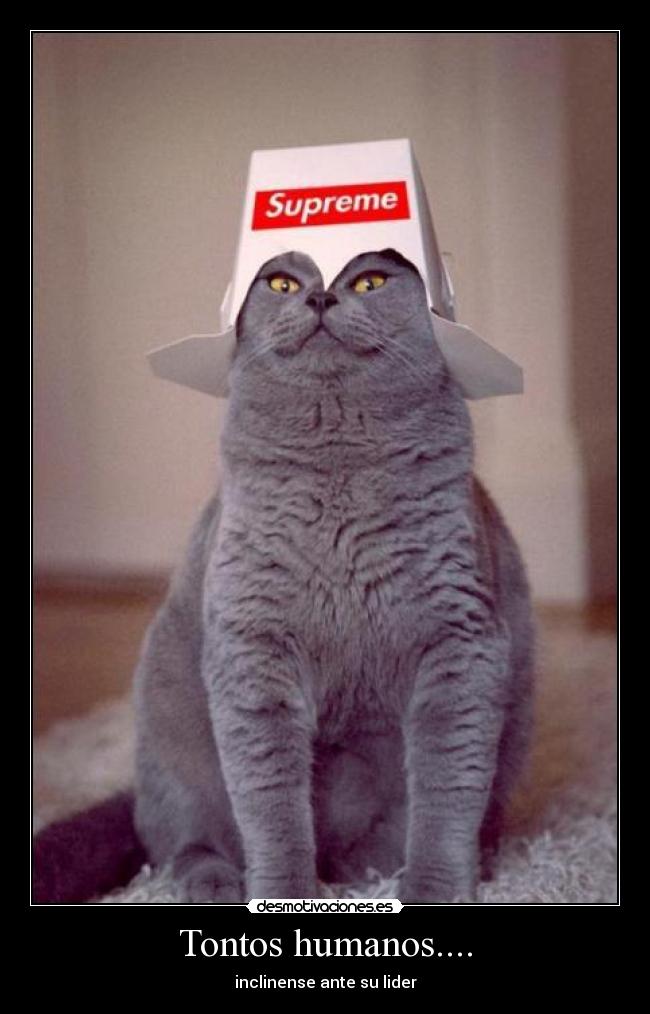 Tontos humanos.... - 