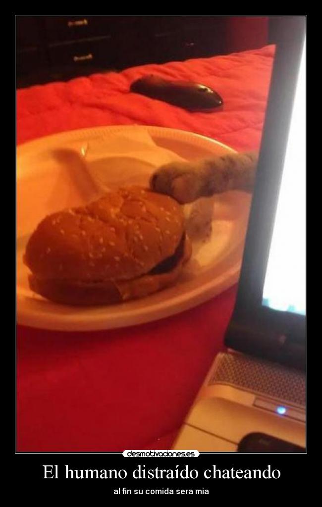 El humano distraído chateando -